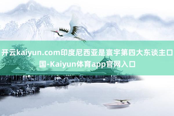 开云kaiyun.com印度尼西亚是寰宇第四大东谈主口国-Kaiyun体育app官网入口