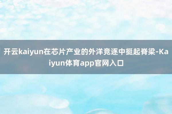 开云kaiyun在芯片产业的外洋竞逐中挺起脊梁-Kaiyun体育app官网入口