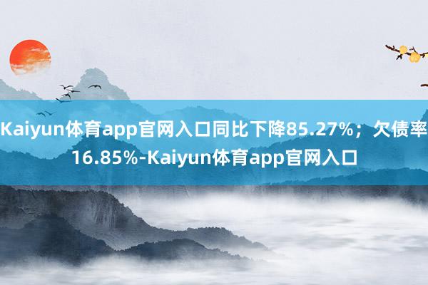 Kaiyun体育app官网入口同比下降85.27%；欠债率16.85%-Kaiyun体育app官网入口