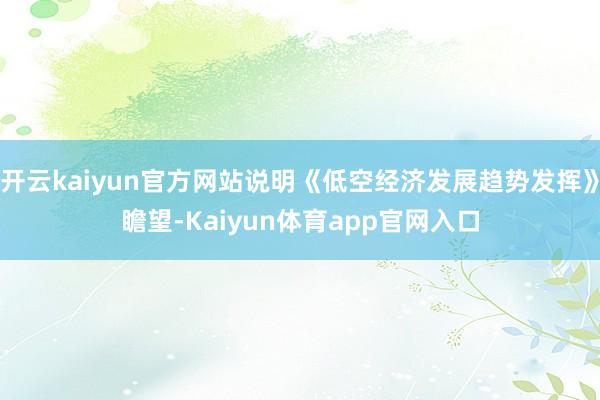 开云kaiyun官方网站说明《低空经济发展趋势发挥》瞻望-Kaiyun体育app官网入口