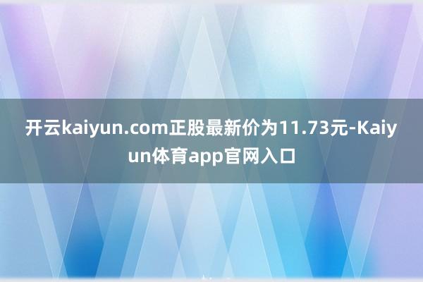 开云kaiyun.com正股最新价为11.73元-Kaiyun体育app官网入口