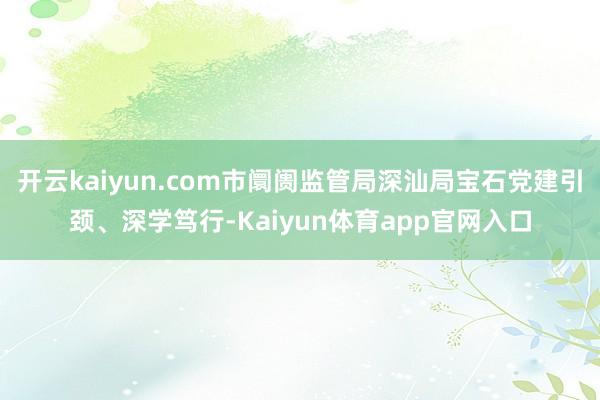 开云kaiyun.com市阛阓监管局深汕局宝石党建引颈、深学笃行-Kaiyun体育app官网入口