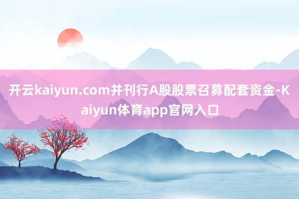 开云kaiyun.com并刊行A股股票召募配套资金-Kaiyun体育app官网入口