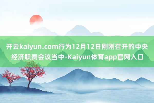 开云kaiyun.com行为12月12日刚刚召开的中央经济职责会议当中-Kaiyun体育app官网入口