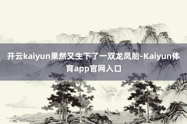 开云kaiyun果然又生下了一双龙凤胎-Kaiyun体育app官网入口