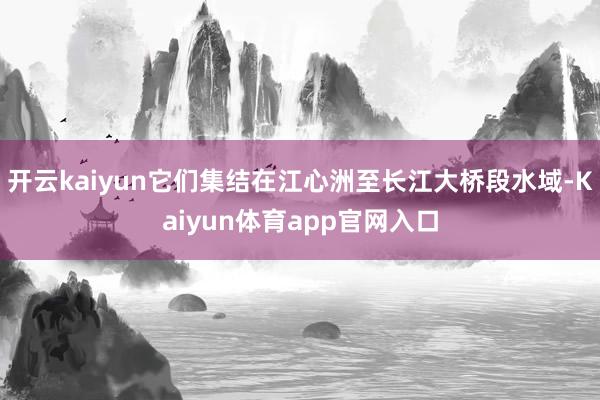 开云kaiyun它们集结在江心洲至长江大桥段水域-Kaiyun体育app官网入口