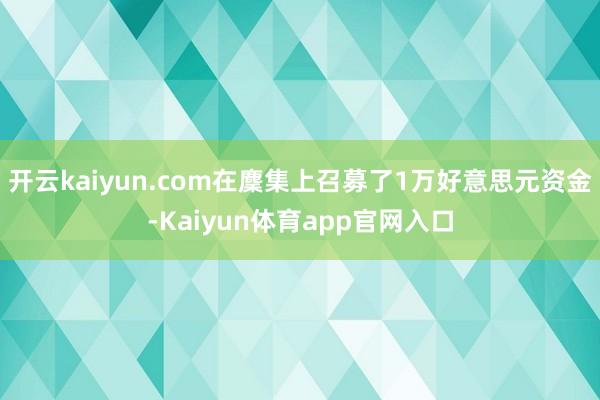 开云kaiyun.com在麇集上召募了1万好意思元资金-Kaiyun体育app官网入口